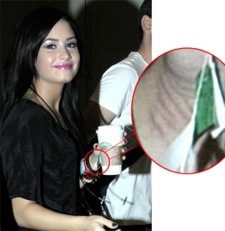 Demi Lovato Cutting Herself