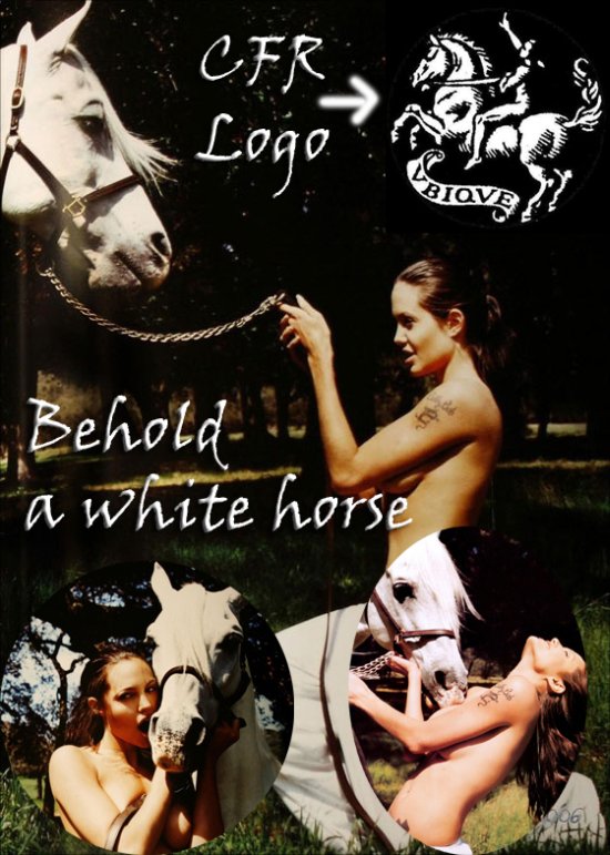 Angelina Jolie Horse CFR