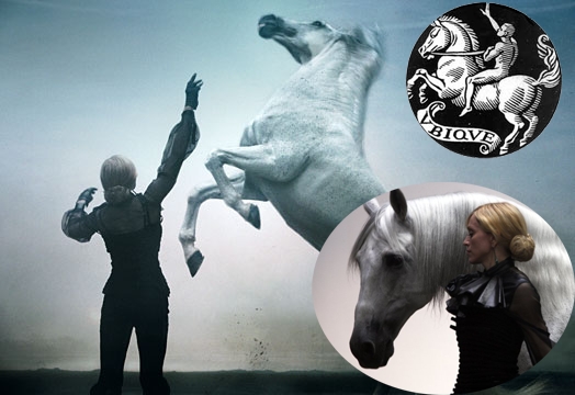 Madonna White Horse