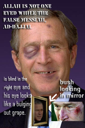 Bush Black eye Mirror